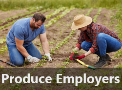 Produce Jobs, Produce Employers